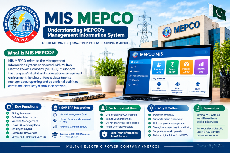 MIS MEPCO